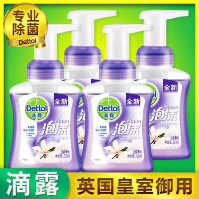 滴露泡沫洗手液 清香型儿童宝宝杀菌抑菌包邮家用量贩装