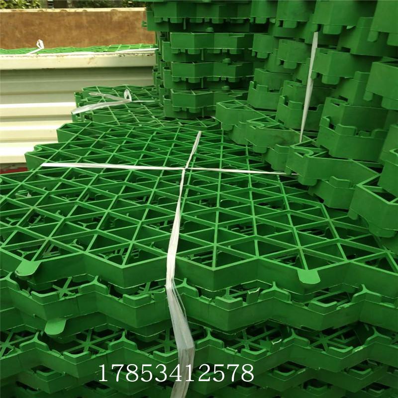 高尚生活社区楼前绿化植草格屋顶停车场护坡工程绿化植草格耐腐蚀|ruв категории доставка цветов/цветок моделирования/растения садоводства, садовых принадлежностей, других садовых принадлежностей - от Buy2taobao.com для оказания профессиональной услуги покупки агента Taobao