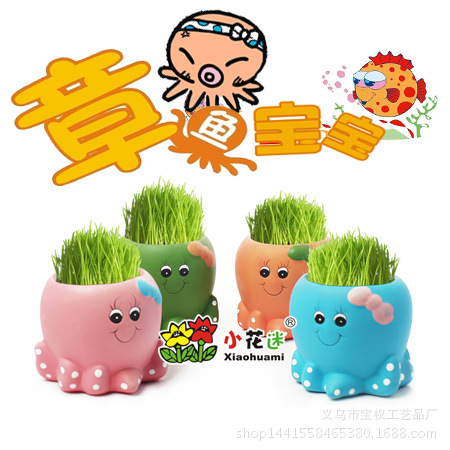 Green plant Grass plant Mini Botany Potted plant Grass doll(Baby octopus)Office green Potted plantin the Flower delivery/Flowers simulation/Plants gardening , Creative mini-plant category - from Buy2taobao.com to provide professional Taobao agent buy service