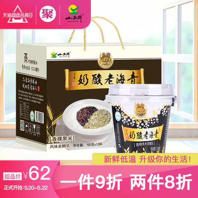 小西牛 青海老酸奶青稞黑米藏之宝高原特产谷物低温老酸奶150gx12