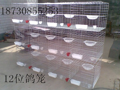 诚信鸽笼养殖笼 配对笼12位鸽笼配件肉鸽笼家用鸽子笼子用品用具