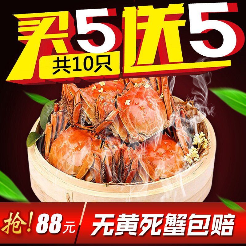 仲秋 六月黄大闸蟹 现货鲜活大螃蟹 阳澄湖 共10只 鲜嫩公母随机