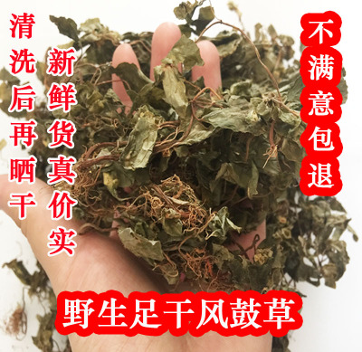 【特价】野生风柜斗草干品 楮头红 风谷草 风骨草 风鼓草 250克