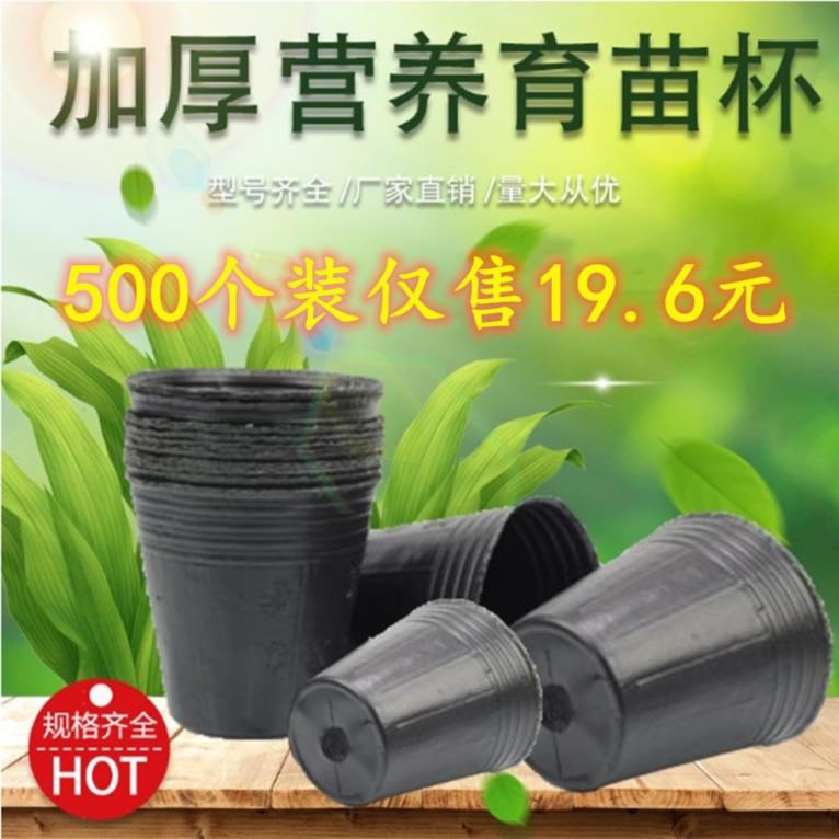 盆植营养杯大号育苗花木杯盆加厚加厚育苗钵塑料秧苗吊兰整包尺寸在类目 鲜花速递/花卉仿真/绿植园艺, 园艺用品, 育苗盘/营养钵中 - 来自Buy2taobao.com提供专业的淘宝代购服务