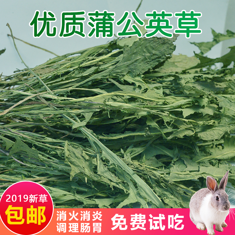 19年烘烤蒲公英草1kg兔草豚鼠草荷兰猪草兔子干草食物零食500克在类目 宠物/宠物食品及用品, 兔类及其用品, 其他中 - 来自Buy2taobao.com提供专业的淘宝代购服务