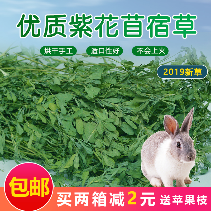 紫花苜蓿草1kg 2019年新烘干烘烤兔子龙猫荷兰猪干草兔粮饲料提草在类目 宠物/宠物食品及用品, 兔类及其用品, 兔兔干草中 - 来自Buy2taobao.com提供专业的淘宝代购服务