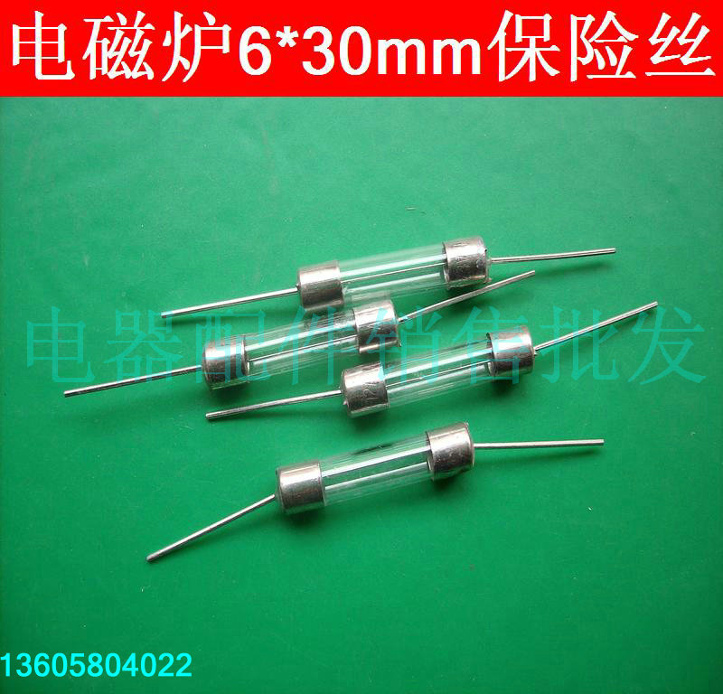 电磁炉保险丝保险管6*30mm10A12A250V带脚电磁炉保险丝电磁炉配件在类目 厨房电器, 厨房家电配件, 其它厨房家电配件中 - 来自Buy2taobao.com提供专业的淘宝代购服务