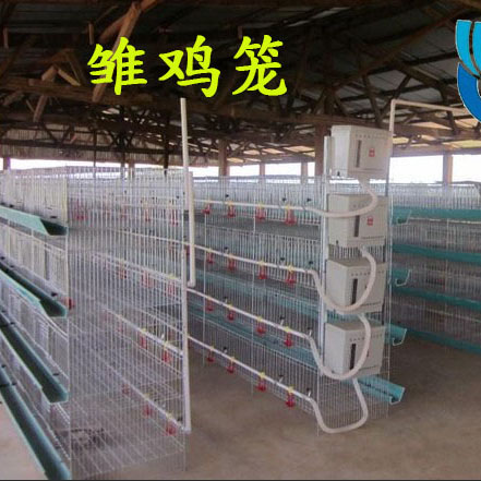 加粗加密小鸡笼 育雏笼 雏鸡笼 网 立式小鸡育肥笼子 养殖保温笼在类目 宠物/宠物食品及用品, 鸟类及用品, 鸟用具(新), 笼子中 - 来自Buy2taobao.com提供专业的淘宝代购服务