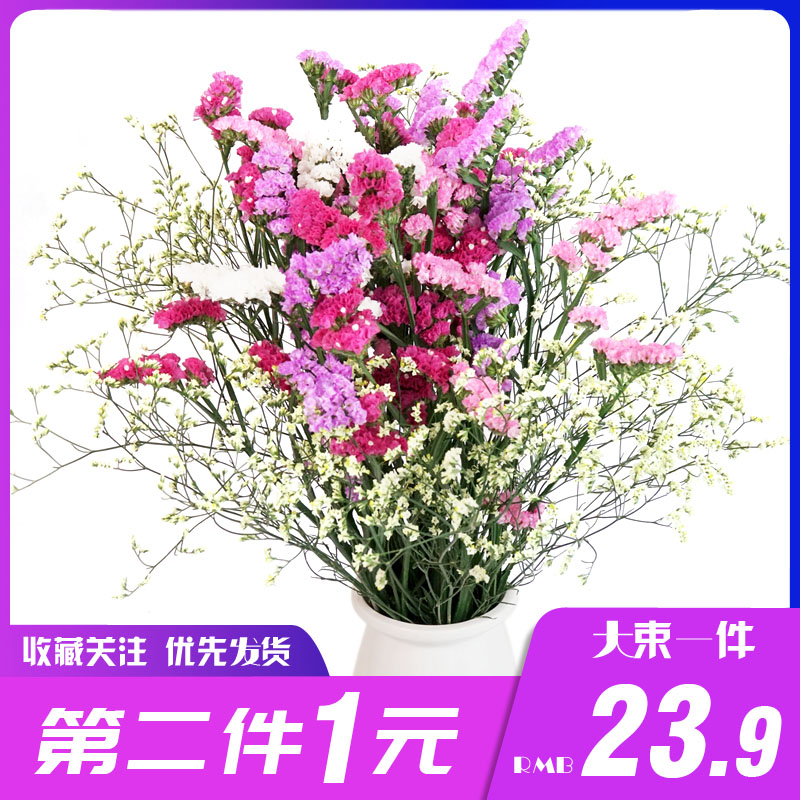 雲南昆明幹花三色勿忘我水晶草情人草搭配家居客廳擺件裝飾真花在類目 家居飾品, 花瓶/花器/仿真花/仿真飾品, 乾花/花瓣/乾花包/幹樹枝中 - 來自Buy2taobao.com提供專業的淘寶代購服務