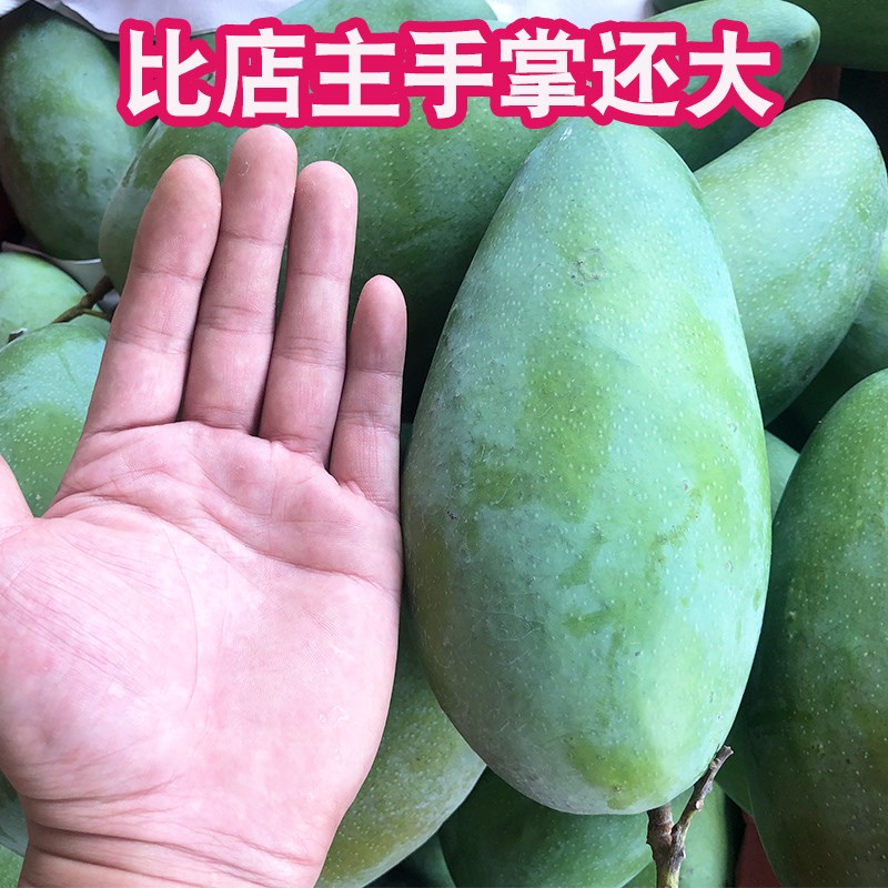 越南进口新鲜大青特大带箱10斤包邮热带水果金煌芒青皮特大芒果芒|ruв категории водной мясо/свежие фрукты и овощи/еда, свежие фрукты, манго - от Buy2taobao.com для оказания профессиональной услуги покупки агента Taobao
