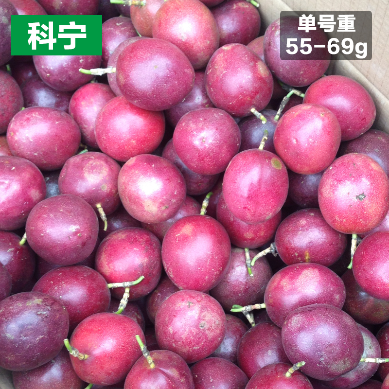 現摘 廣西百香果 新鮮水果西番蓮雞蛋果 24個裝大紅果包郵在類目 水產肉類/新鮮蔬果/熟食, 新鮮水果, 百香果中 - 來自Buy2taobao.com提供專業的淘寶代購服務