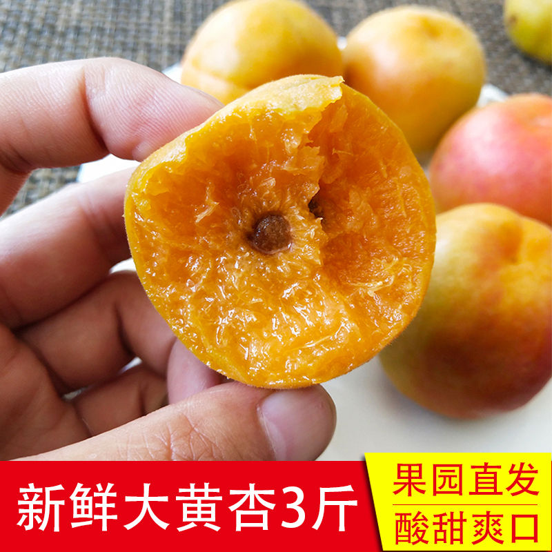 Beijing Miyun Open air chinese rhubarb Season fresh fruit Farm chinese rhubarb Sweet and sour 3in the Aquatic meat/Fresh fruits and vegetables/Cooked , Fresh fruit , Other category - from Buy2taobao.com to provide professional Taobao agent buy service