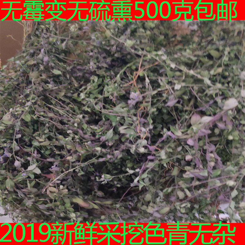 wild Gold seeds Chinese herbal medicine Herbs melon seed Dicranostigma leptopodum Cinnabar Infantile convulsion 500 gramin the Traditional nourishing food , Medicinal and Edible Food , Other Medicinal and Edible Food category - from Buy2taobao.com to provide professional Taobao agent buy service