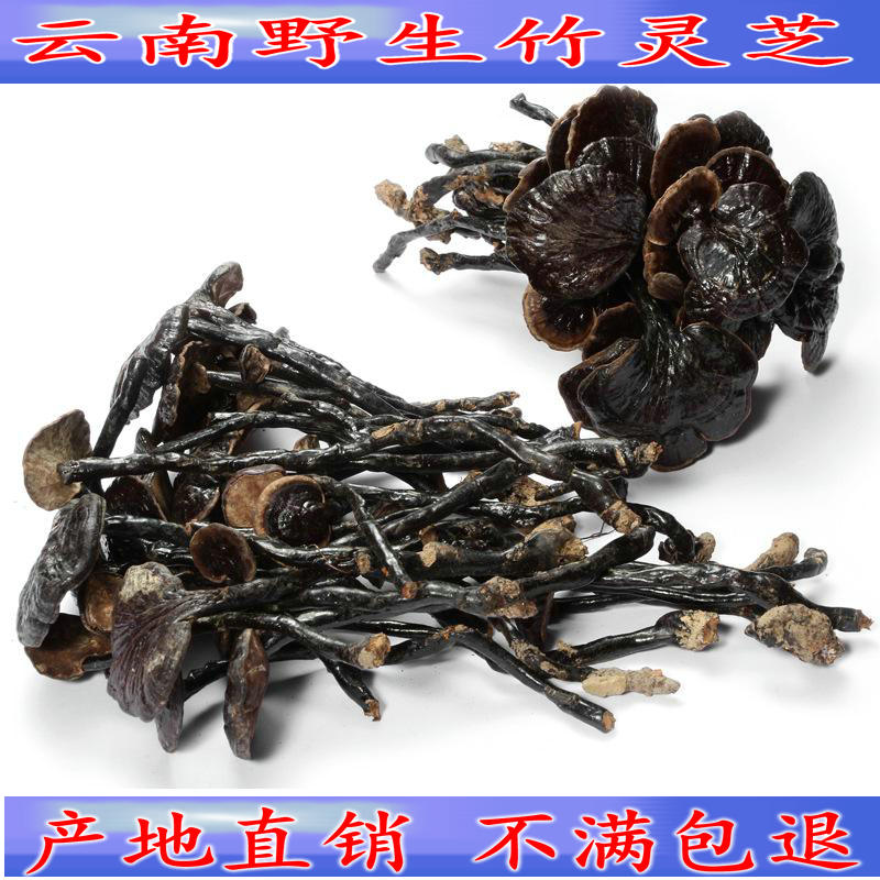 雲南深山野生特級長頸竹靈芝小紅靈芝紫靈芝特級赤靈芝500g包郵在類目 傳統滋補營養品, 靈芝, 整枝靈芝中 - 來自Buy2taobao.com提供專業的淘寶代購服務