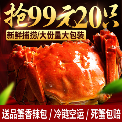 鑫东湖阳澄湖六月黄大闸蟹现货鲜活螃蟹公母蟹礼盒团购
