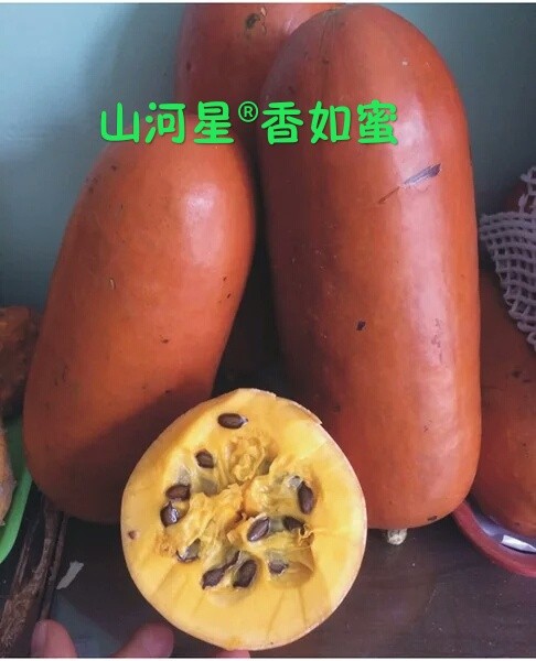 香如蜜甜蜜果甜如蜜果奇异瓜果红香蜜进口水果甜瓜(一个装)香肠在类目 水产肉类/新鲜蔬果/熟食, 新鲜水果, 甜瓜中 - 来自Buy2taobao.com提供专业的淘宝代购服务