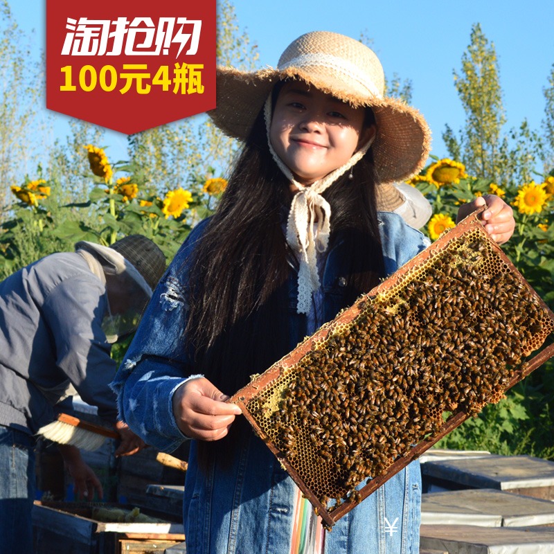 【买3送1】新疆葵花蜜农家自产自销结晶向日葵土蜂蜜无添加500g在类目 传统滋补营养品, 蜂蜜中 - 来自Buy2taobao.com提供专业的淘宝代购服务