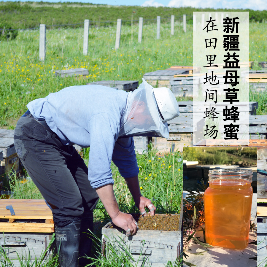 田里地间新疆农家自产野生雪山草原山花益母草蜂蜜500g在类目 传统滋补营养品, 蜂蜜中 - 来自Buy2taobao.com提供专业的淘宝代购服务