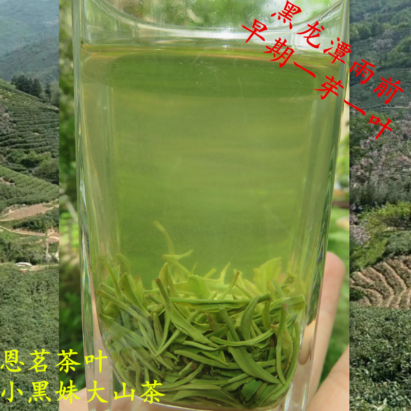 2019年新茶 信阳毛尖黑龙潭村70元/50g小黑妹自产自销大山茶在类目 茶, 绿茶(新), 信阳毛尖中 - 来自Buy2taobao.com提供专业的淘宝代购服务