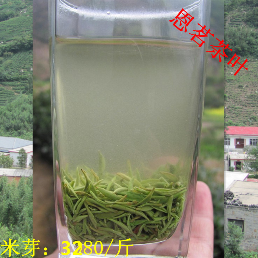 [ 2019 newly picked and processed tea leaves Produce Black Girl Xinyangmaojian Mingqian Tea Snow Budin the Tea , Green tea (New) , Xinyangmaojian category - from Buy2taobao.com to provide professional Taobao agent buy service