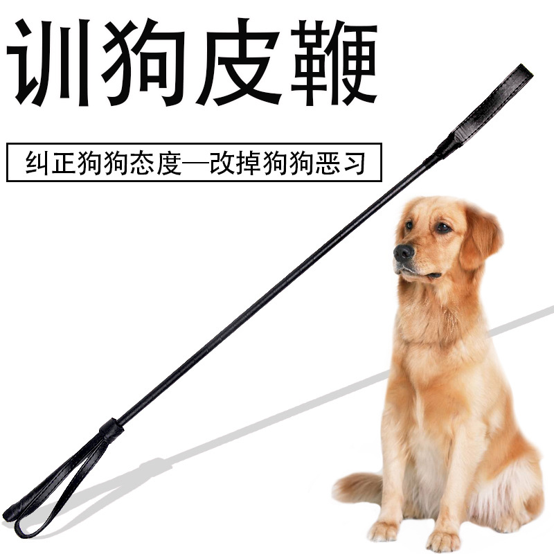 Dog Training Lash Whip The dog Dog training Trainer Husky Alaska France bucket Pugin the Pet/Pet food and supplies , Cat/Dog Supplies , Trainer category - from Buy2taobao.com to provide professional Taobao agent buy service