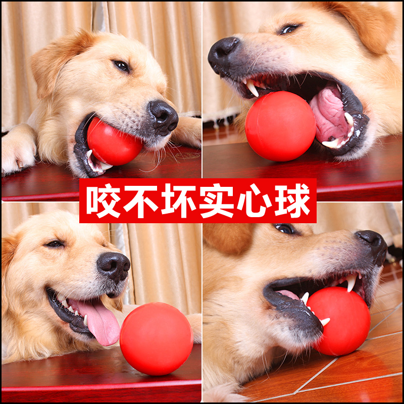 狗狗训练耐咬橡胶球带绳实心弹力球大型犬马犬边牧磨牙玩具球宠物在类目 宠物/宠物食品及用品, 猫/狗玩具, 橡胶球/球形玩具中 - 来自Buy2taobao.com提供专业的淘宝代购服务