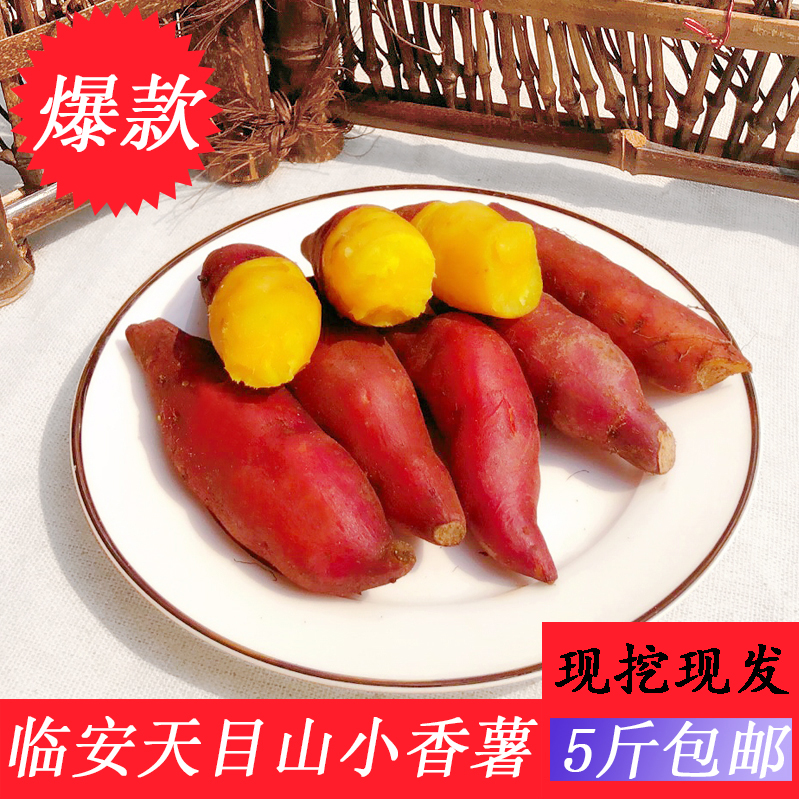 新鮮臨安天目山小香薯5斤正宗小紅薯板栗番薯迷妳地瓜金手指包郵在類目 水產肉類/新鮮蔬果/熟食, 新鮮蔬菜/蔬菜製品, 新鮮蔬菜, 番薯中 - 來自Buy2taobao.com提供專業的淘寶代購服務