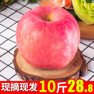 红富士苹果水果新鲜包邮当季应季一箱整箱10斤平果陕西脆甜丑萍果