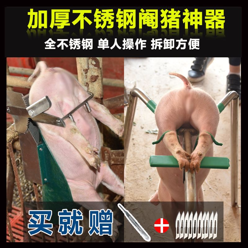 小仔猪阉猪架 阉割器 阉猪台三脚不锈钢阉猪架子神器加强型腌猪架在类目 畜牧/养殖物资, 畜牧/养殖设备, 畜牧/养殖器械中 - 来自Buy2taobao.com提供专业的淘宝代购服务