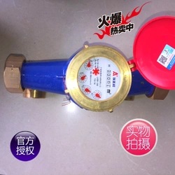 AM埃美柯热水表097铁壳旋翼湿式热水表LXSR-E4分6分DN15 20 25 32在类目 五金/工具, 仪器仪表, 水表中 - 来自Buy2taobao.com提供专业的淘宝代购服务