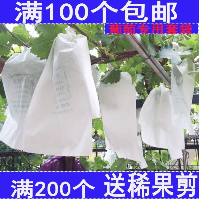 萄袋防鸟防果实套袋葡萄 蝇袋网袋防果 水果防虫袋袋火龙果套袋葡在类目 鲜花速递/花卉仿真/绿植园艺, 园艺用品, 其它园艺用品中 - 来自Buy2taobao.com提供专业的淘宝代购服务