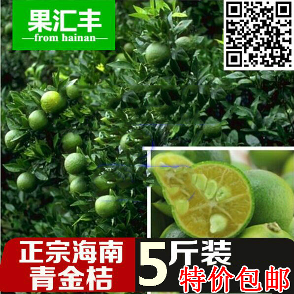Hainan Small kumquat fresh Green kumquat Green Orange Small lemon 5 pounds Orthodox school Green Orange Place of Originin the Aquatic meat/Fresh fruits and vegetables/Cooked , Fresh fruit , Orange category - from Buy2taobao.com to provide professional Taobao agent buy service