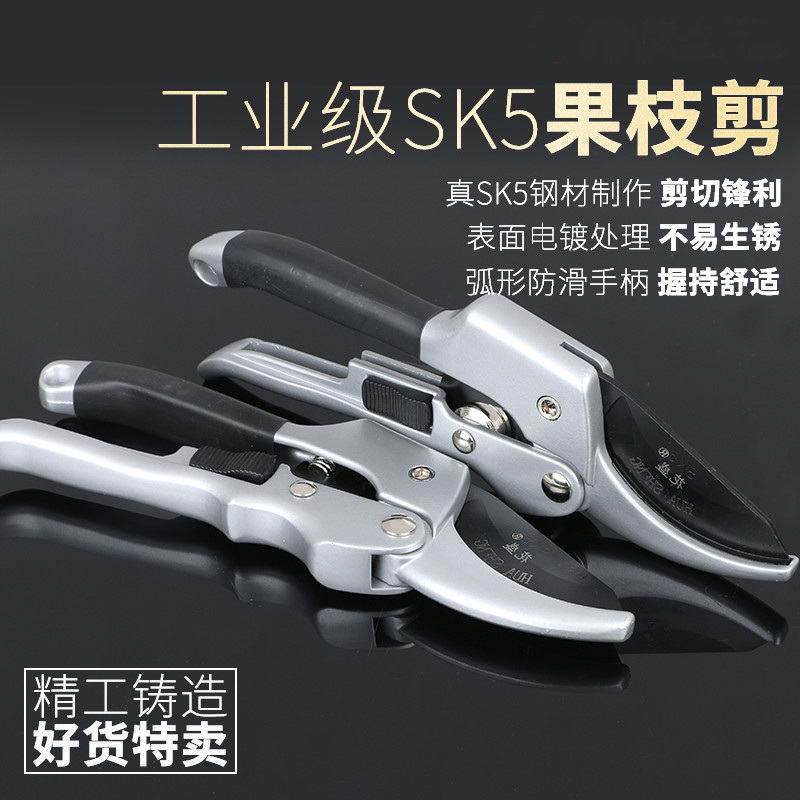 爱晨园艺剪刀修枝剪果树剪刀多功能家用省力树枝剪子工具修花剪刀在类目 鲜花速递/花卉仿真/绿植园艺, 园艺用品, 其它园艺用品中 - 来自Buy2taobao.com提供专业的淘宝代购服务