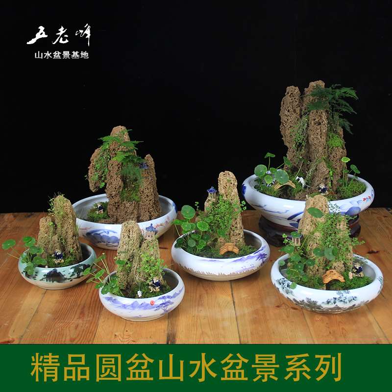 五老峰摆件上水石原石假山吸水石山水盆景奇石天然带植物整套包邮|ruв категории доставка цветов/цветок моделирования/растения садоводства, садовых принадлежностей, других садовых принадлежностей - от Buy2taobao.com для оказания профессиональной услуги покупки агента Taobao