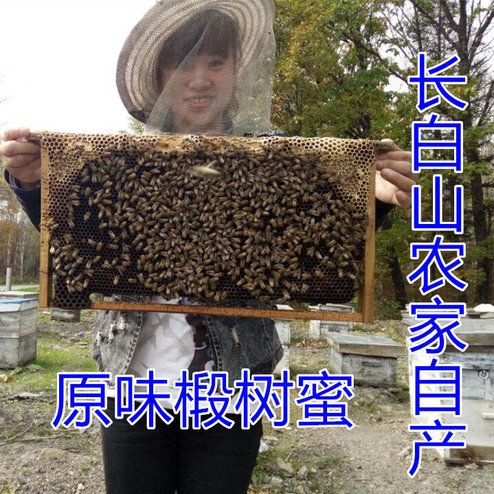 椴树蜂蜜长白山蜂蜜土蜂蜜天然无添加原味蜜2019农家自产6斤包邮|ruв категории традиционные питательный пища, мед - от Buy2taobao.com для оказания профессиональной услуги покупки агента Taobao