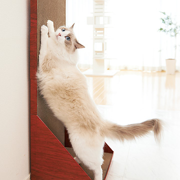 Cat World vertical Scratching Folding Scratching Corrugated paper Cat litter goods in stockin the Pet/Pet food and supplies , Cat/Dog Toys , Scratching category - from Buy2taobao.com to provide professional Taobao agent buy service