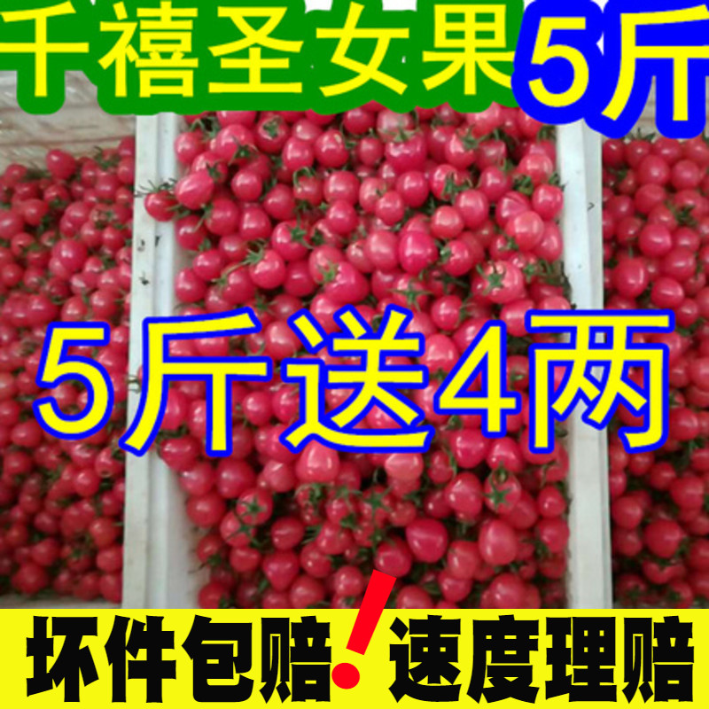 千禧5斤圣女果小番茄新鲜樱桃小西红柿山东特产水果秒杀孕妇儿童在类目 水产肉类/新鲜蔬果/熟食, 新鲜蔬菜/蔬菜制品, 新鲜蔬菜, 番茄中 - 来自Buy2taobao.com提供专业的淘宝代购服务