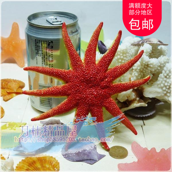 树脂制作太阳海星冲钻特价贴墙地台装饰海螺贝壳SZ21爆款在类目 家居饰品, 创意饰品, 海螺/贝壳/珊瑚中 - 来自Buy2taobao.com提供专业的淘宝代购服务