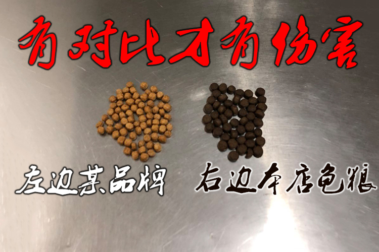 龟粮石金钱龟乌龟饲料鳄龟粮巴西龟料小甲鱼陆龟幼龟龟粮甲鱼饲料|ruв категории животное/Животное питание и принадлежностей, аквариум мира, декоративных черепаха/черепаха кормов - от Buy2taobao.com для оказания профессиональной услуги покупки агента Taobao