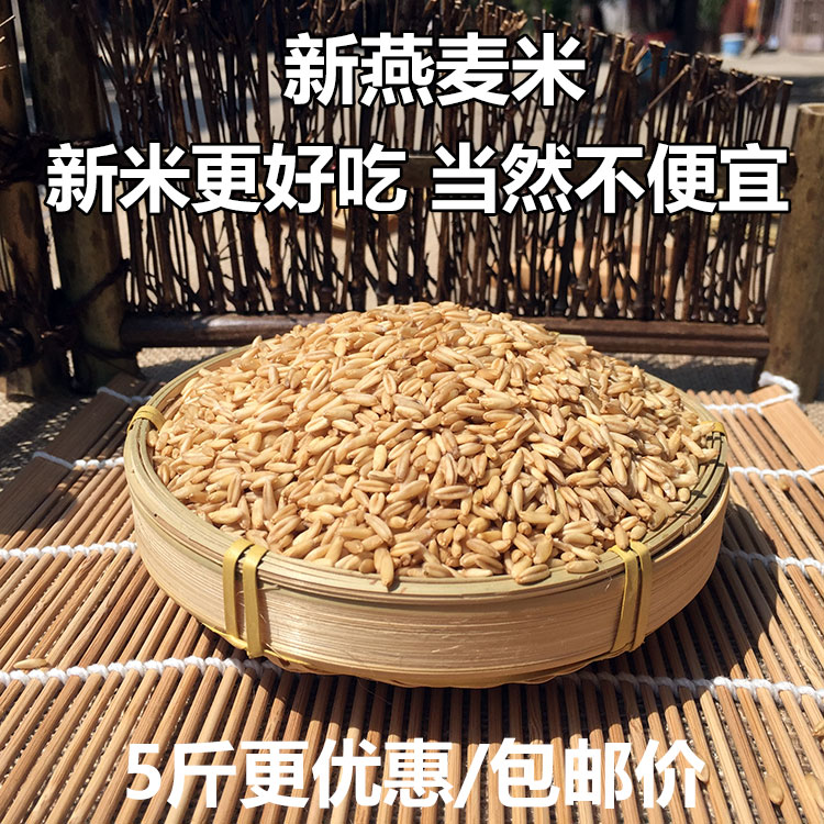 新燕麦米5斤 包邮散装优质农家自产五谷杂粮裸燕麦无糖内蒙古产在类目 粮油米面/南北干货/调味品, 米/面粉/杂粮, 其它粮食中 - 来自Buy2taobao.com提供专业的淘宝代购服务
