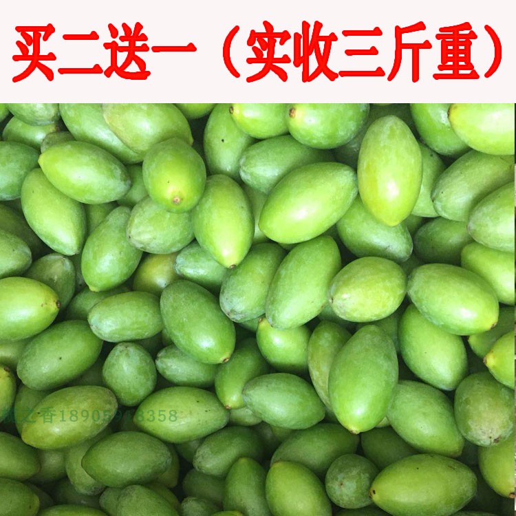 2019年新果新鲜青橄榄青果闽侯青橄榄2份包邮送1斤(实收3斤)在类目 水产肉类/新鲜蔬果/熟食, 新鲜水果, 其它中 - 来自Buy2taobao.com提供专业的淘宝代购服务