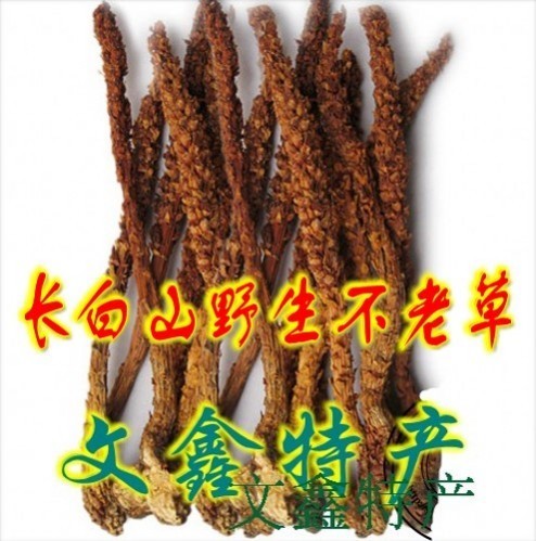 长白山不老草野生纯天然绿色草芙蓉山苞米列当优质泡酒料炖鸡煲汤|ruв категории традиционные питательный пища, другие традиционные тоник, Bulao Херб - от Buy2taobao.com для оказания профессиональной услуги покупки агента Taobao