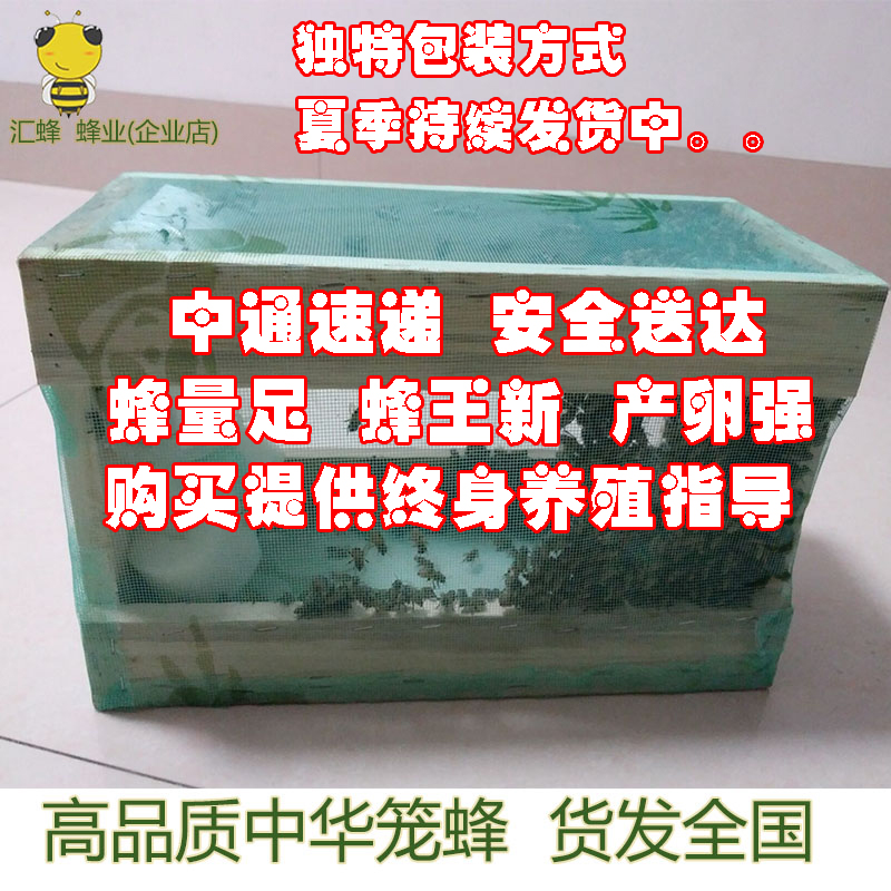 籠蜂活體蜜蜂蜜蜂活體蜂群中蜂活體蜜蜂蜂群土蜜蜂活體蜂王蜜蜂王在類目 畜牧/養殖物資, 飼料, 飼料原料中 - 來自Buy2taobao.com提供專業的淘寶代購服務