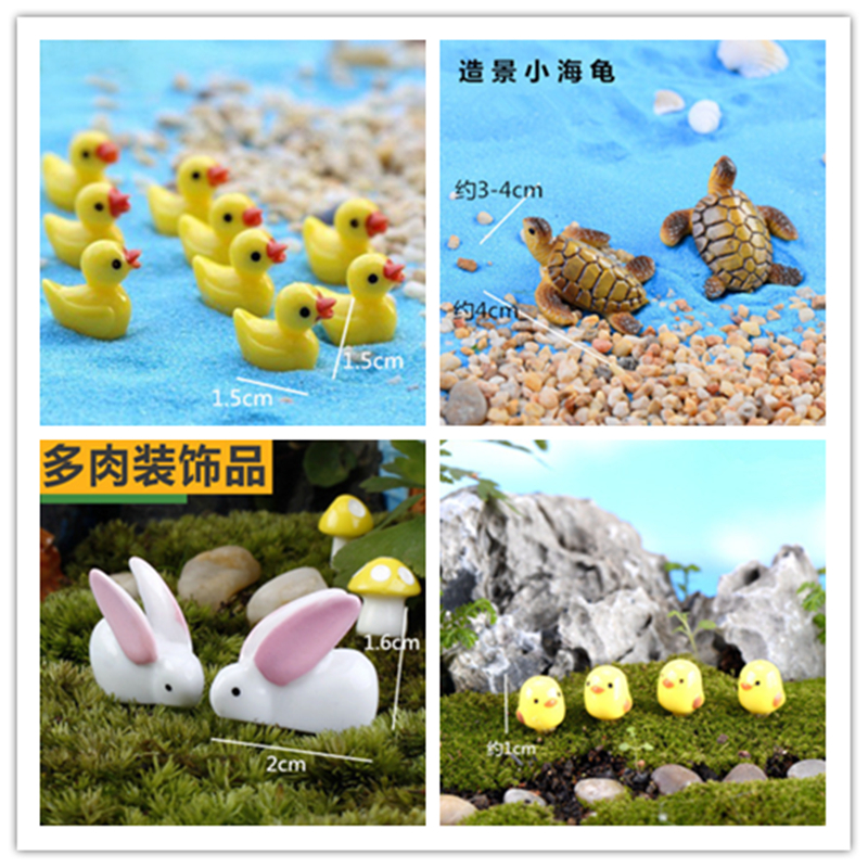 Succulent plants Decoration Scenery DIY Material Science Tortoise parrot Potted plant Decoration gardening bonsai ornament originalityin the Flower delivery/Flowers simulation/Plants gardening , Gardening supplies , Other Garden Supplies category - from Buy2taobao.com to provide professional Taobao agent buy service