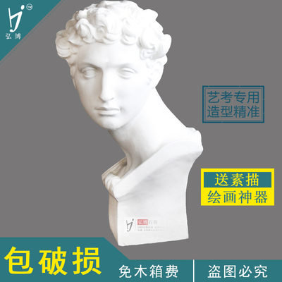 弘博石膏像小卫头像石膏教具模具素描静物写生美术教具厂家直销
