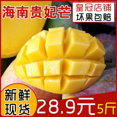 海南芒果小贵妃芒果红金龙青芒香芒海南新鲜芒果水果5斤现货包邮