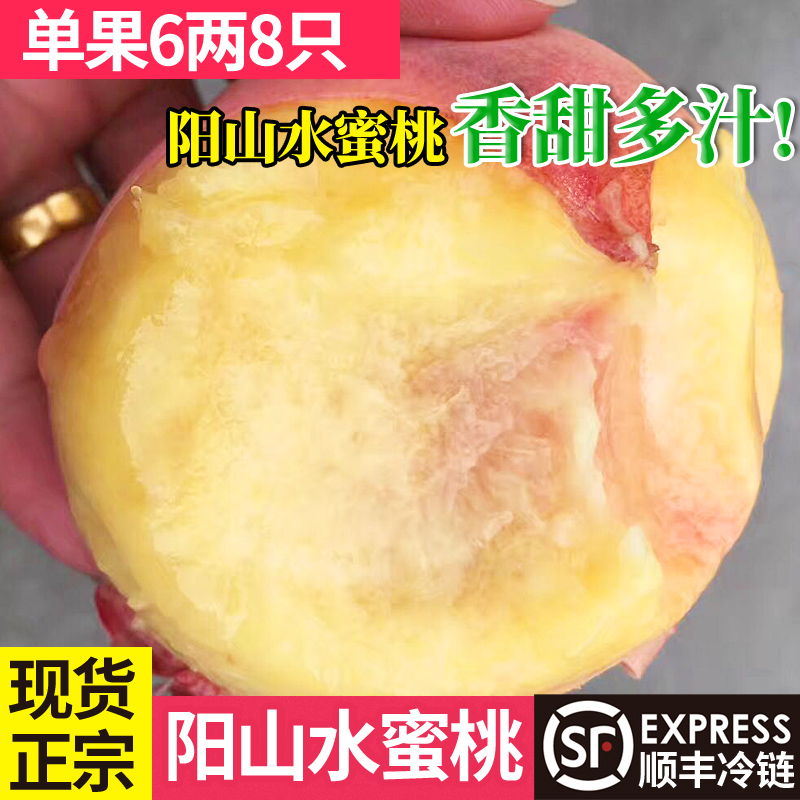 军之邦无锡阳山水蜜桃湖景白凤桃8只朝阳桃无锡阳山水蜜桃软多汁|msdalam kategori daging perikanan/Buah-buahan segar dan sayur-sayuran/dimasak, buah-buahan segar, Peach - dari Buy2taobao.com untuk memberikan perkhidmatan ejen Taobao profesional membeli