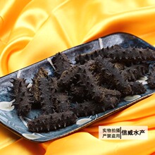 首家&ldquo;货到付款&rdquo;60头无盐纯淡干底播野生海参 高品质涨发好