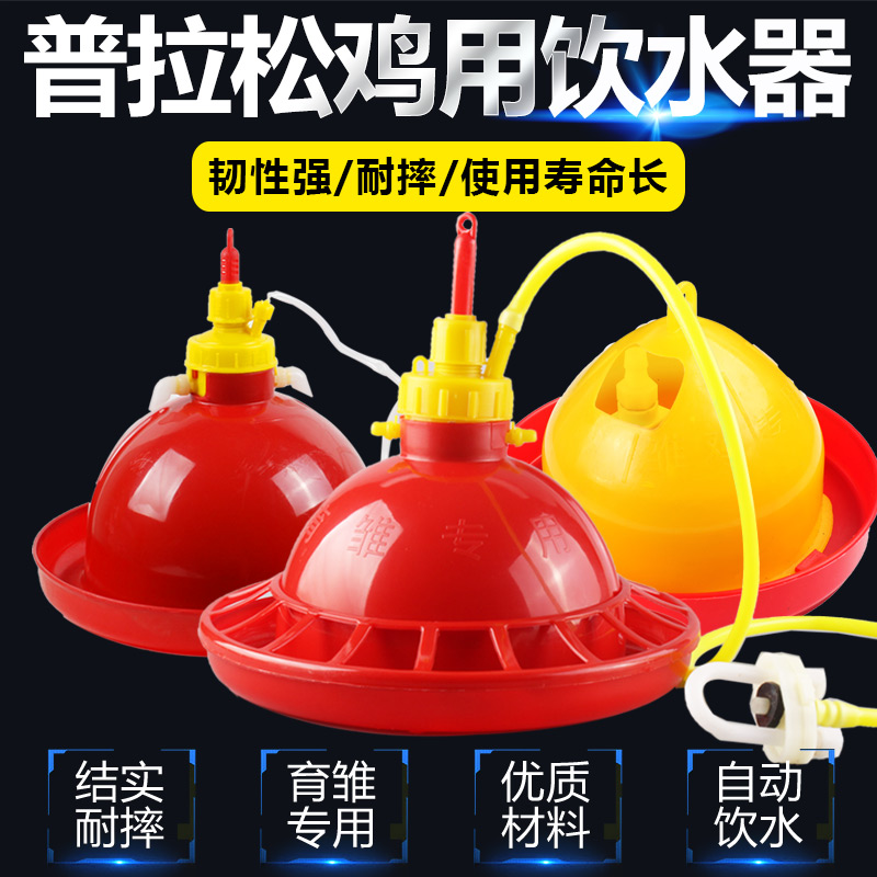 养鸡用自动饮水器 雏鸡普拉松饮水器 鸡鸭鹅小鸡喂水器 养鸡用品在类目 畜牧/养殖物资, 畜牧/养殖设备, 肥料/饲料/屠宰加工设备中 - 来自Buy2taobao.com提供专业的淘宝代购服务