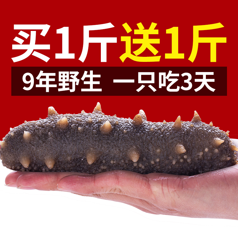 兒孫旺 即食海參野生大連遼參單個裝500克高壓新鮮刺身順豐包郵在類目 水產肉類/新鮮蔬果/熟食, 海鮮/水產品/製品, 海蔘中 - 來自Buy2taobao.com提供專業的淘寶代購服務